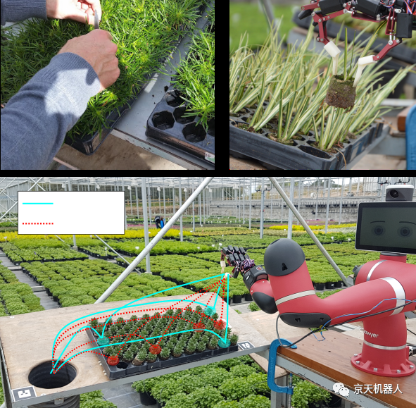 Growbot：用于园艺的可重新编程机器人