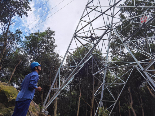 宁波奉化供电：首次开展“人+机”助验收促提质