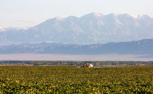 极飞秋收起“翼”第五年，本地化无人机服务在新疆已成趋势