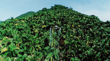 中国农用无人机也在美国和印度帮助农民