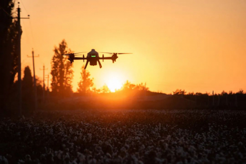 疫情下的新疆，是谁让本地棉农们不再为打脱叶剂发愁？