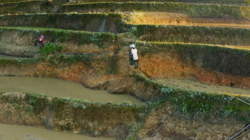 中秋 | 送你一份来自高山“波浪”的礼物