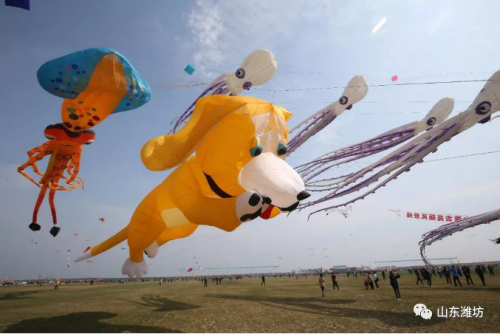 【周知】今天风筝会开幕、无人机表演，怎么走怎么停都在这里！