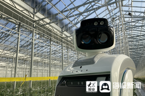 机器人当“大总管”！