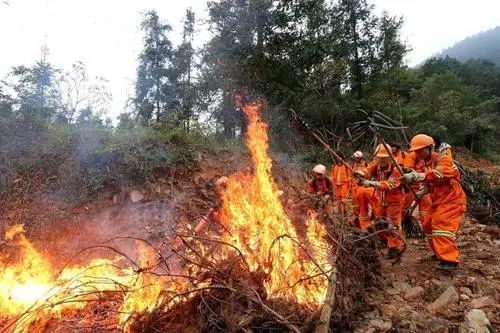 国庆期间， 无人机森林巡逻发现“人为”山火