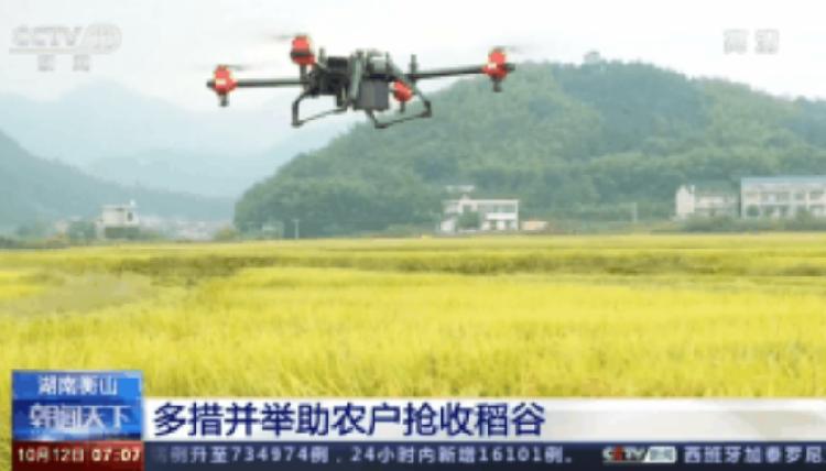 无人机也来收粮食！机械化生产确保秋粮颗粒归仓
