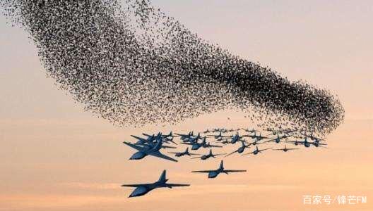 国产“蜂群”无人机，一次齐射48架，可突破密集防空网