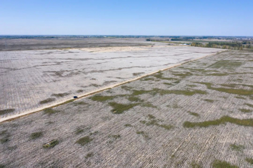 “无人”管理的新疆棉田，到底能开出什么花？