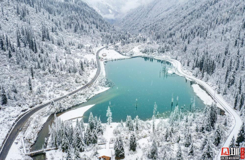 四川阿坝：达古冰川雪花飞舞 宛如仙境