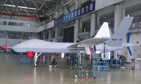 两架翼龙无人机飞抵后，尼日利亚战局火速逆转，中方武器扬名立万