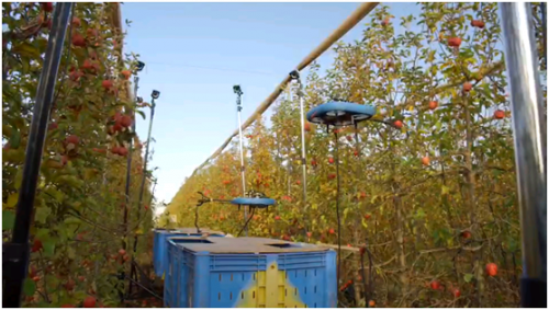 无人机成为农民种地的“好帮手”