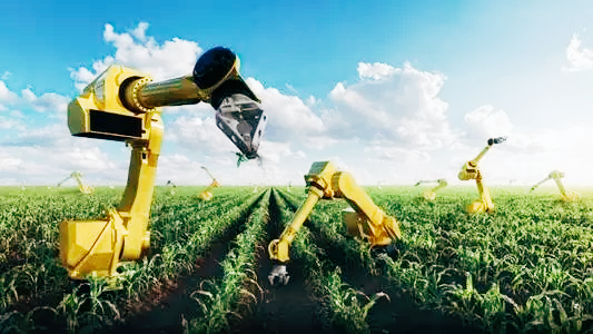 智能喂料巡检机器人：喂完兔兔自己充电