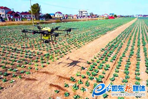 小小无人机 田间大作为