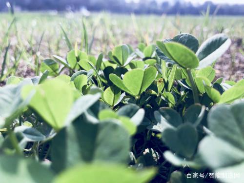 军用无人机愈受关注，未来这一技术将成发展关键