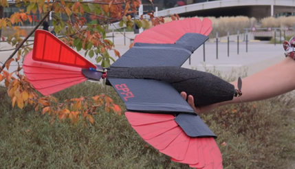 用变形翼尾像猛禽苍鹰一样飞行的无人机