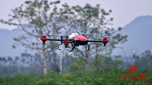 陕西咸阳市:大力发展植保无人机服务助力乡村振兴