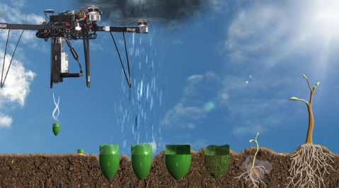 森林大火后-无人机播种快速辅助灾后重建！