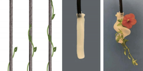 极豆如何启发了新型柔软的机器人抓手