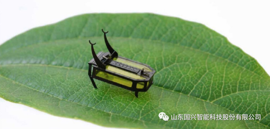 酒精驱动的微型昆虫机器人你见过吗？