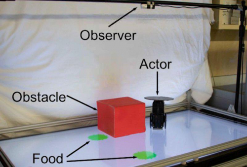机器人对伙伴机器人表现出 "一丝同理心"