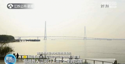 南京开展“春季护鱼”行动 严厉打击非法捕捞行为