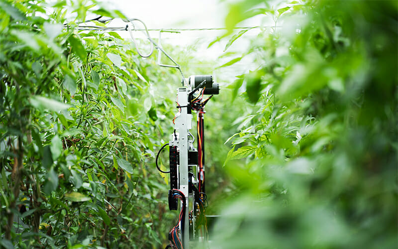 AGRIST  收割机器人