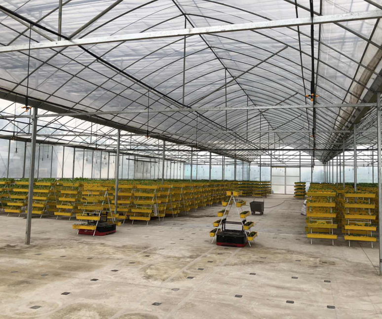 科钛 | 吃青菜吗，AGV种的青菜