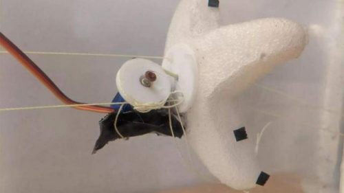 麻省理工学院快速开发系统数小时内制造出机器人海星