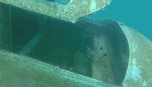 一架沉没在水底的飞机|加拿大无人机测评专家水下探测发现