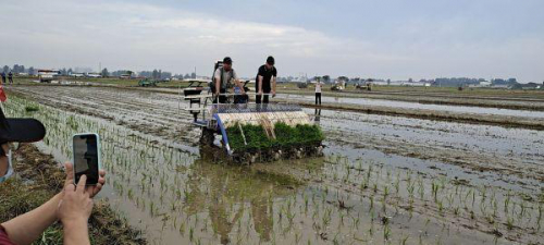 无人驾驶插秧机亮相钟祥