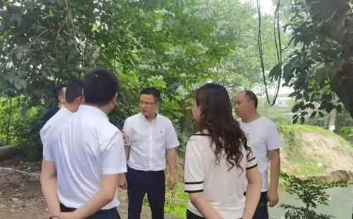 筑好生态环保防线！各地积极探索实践