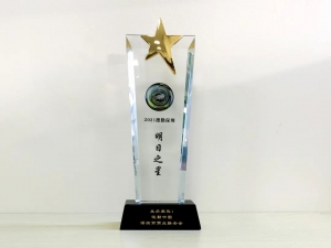 海柔创新横扫海内外六项大奖，卓越实力领跑业界