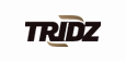 印度Tridz公司
