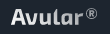 荷兰Avular 公司