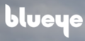 挪威blueye公司