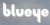 挪威blueye公司