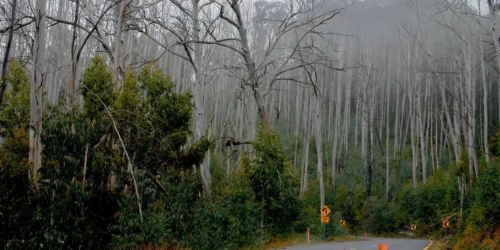 澳大利亚在道路维修"闪电战"中测试AI无人机技术
