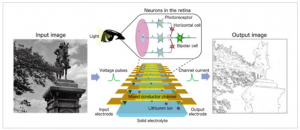 日本科学家发明一种能够模仿人类视错觉的人工视觉设备