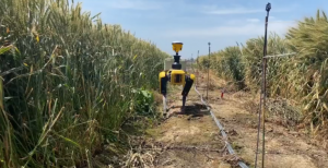 新型农田行走移动机器人助推农业创新