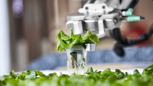 数字农场：巨型机器人农场落户澳大利亚