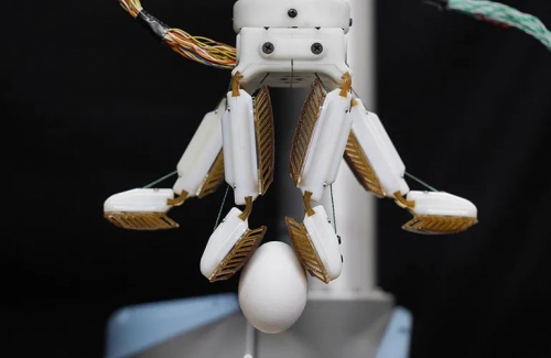 具有壁虎风格握把的机械手