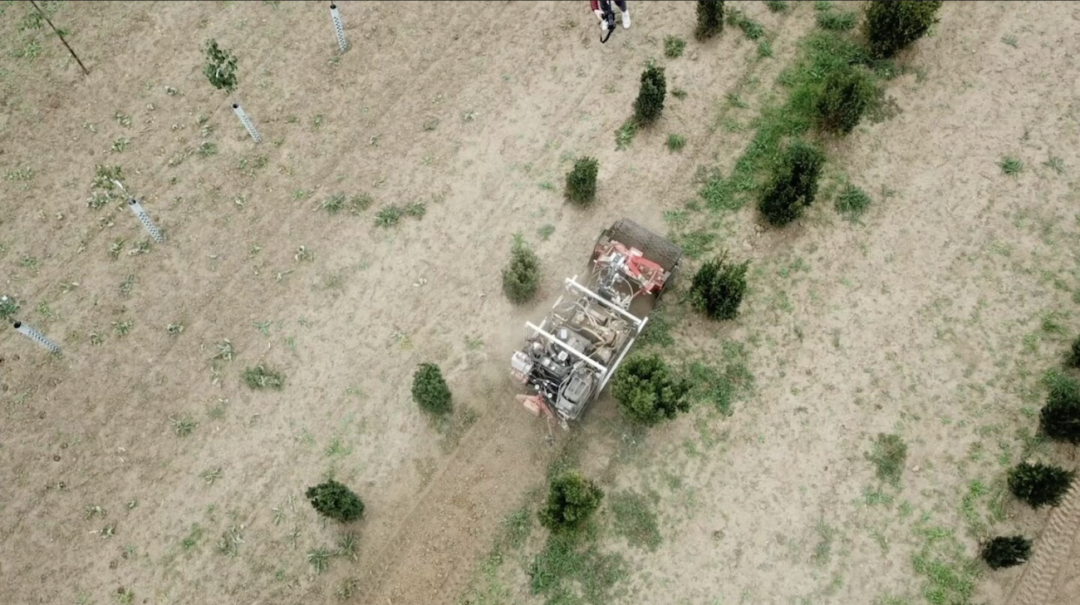 自主机器人消灭杂草比杀虫剂更环保