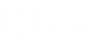 英国​HausBots公司