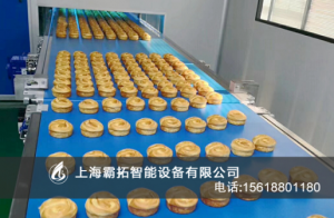 霸拓食品皮带输送机