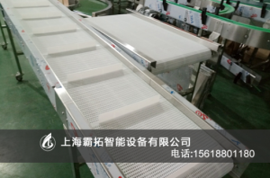 霸拓塑料网带输送机