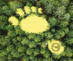 kenternext  肯特环保