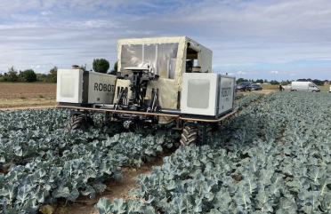 自主西兰花收获机器人RoboVeg 荣获银农业创新奖
