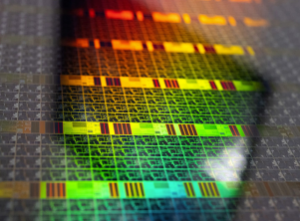 为什么主要 OEM 厂商转向芯片自主生产？