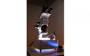 磁控微纳操纵/表征系统