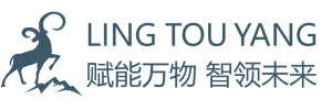 苏州领头羊信息科技有限公司